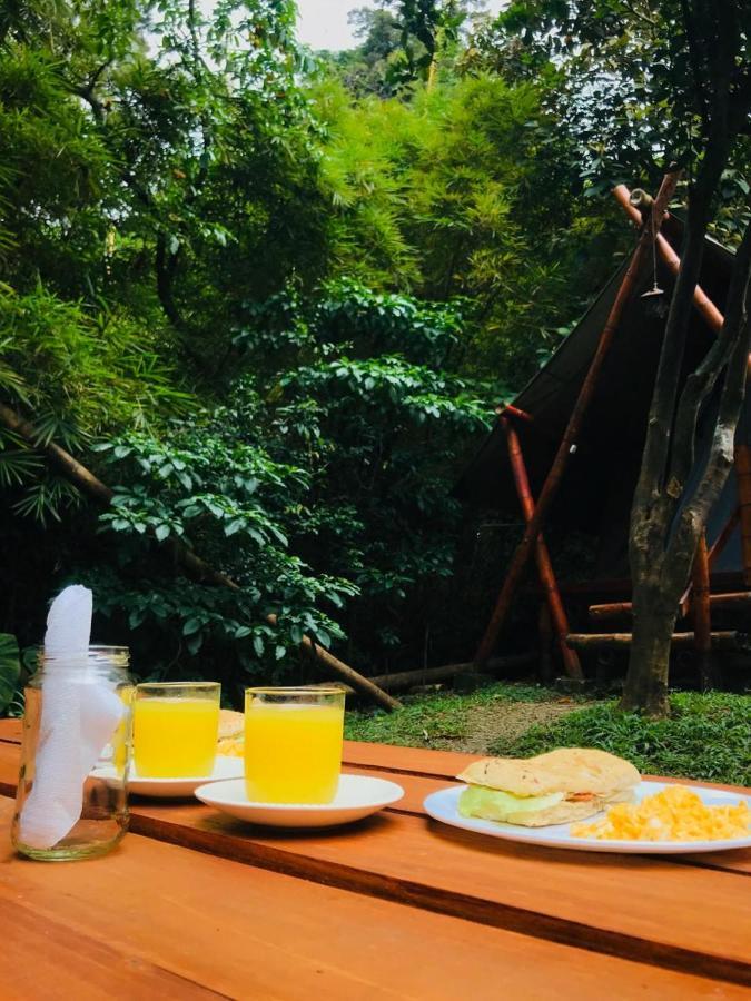Bambu Glamping Ecolodge Medellín Exterior foto